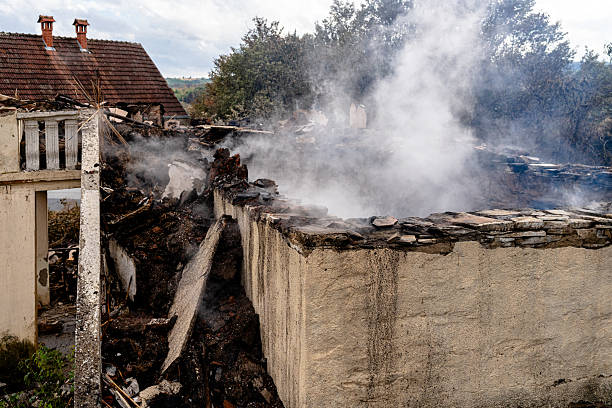 Affordable Fire Damage Removal solutions in Darwin, MN