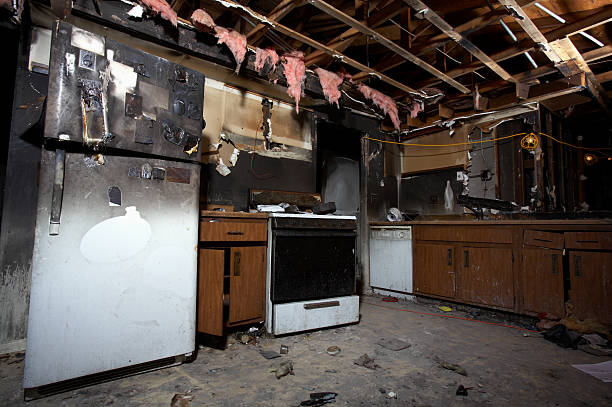 Licensed Fire Damage Removal service in Darwin, MN - Fire Damage Laser Cleaning